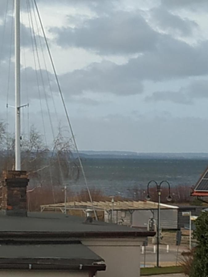 Konik Morski Jastarnia Eksteriør billede